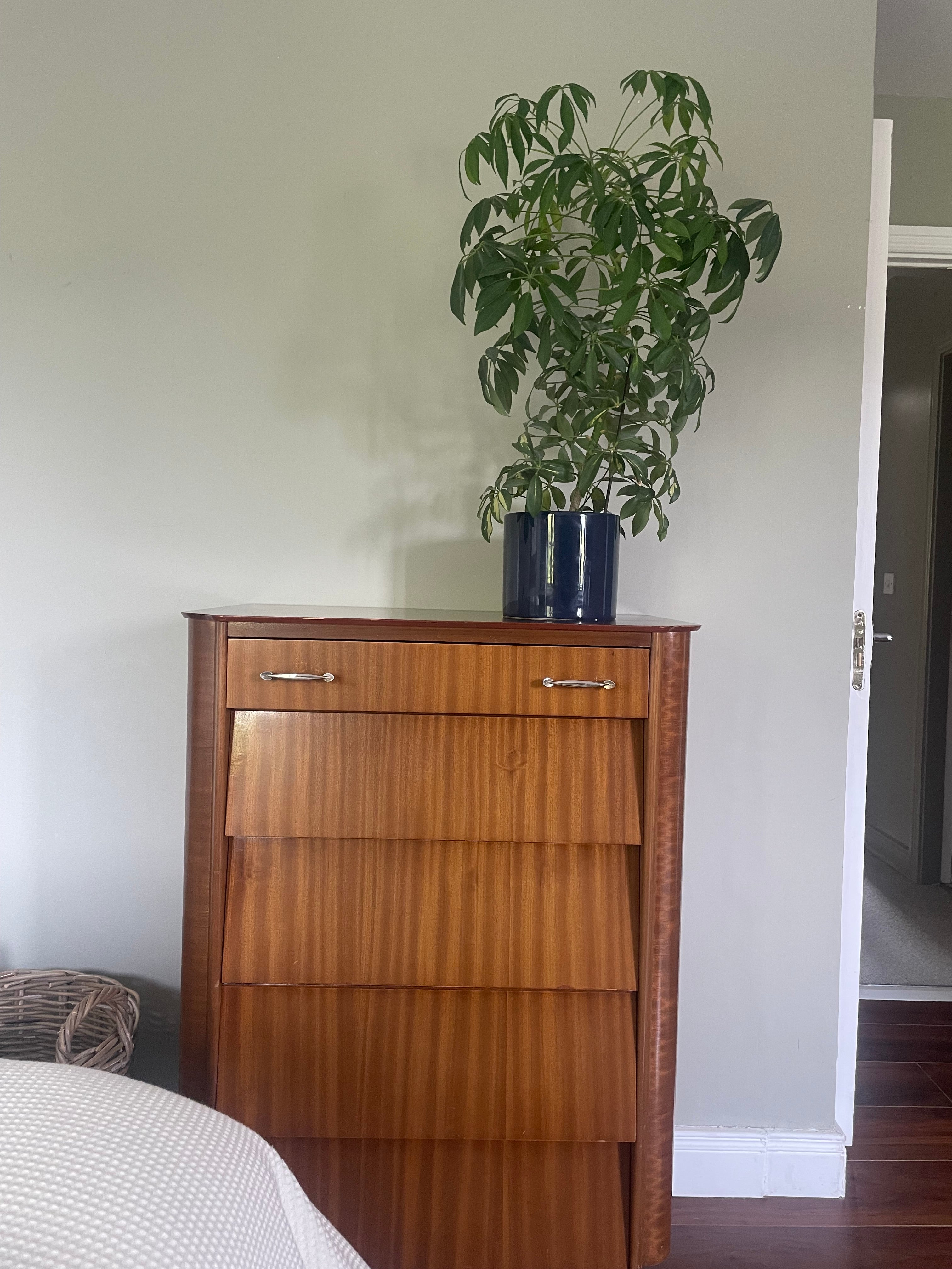 Tola Wood Chest of Drawers by Homeworthy