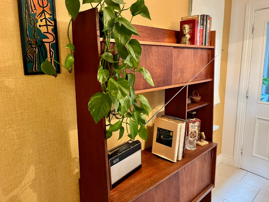 A mid-century modern wooden room divider or bookcase with a warm reddish-brown finish, styled with books, a small plant, and a hanging green leafy vine in a home interior.