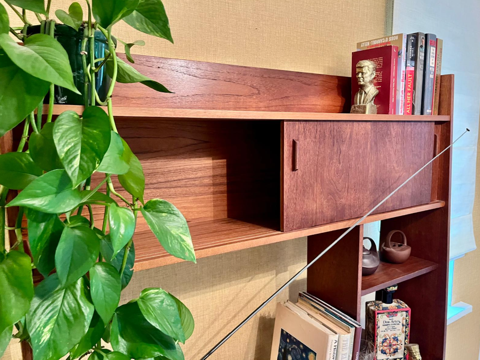 A mid-century modern wooden room divider or bookcase with a warm reddish-brown finish, styled with books, a small plant, and a hanging green leafy vine in a home interior.