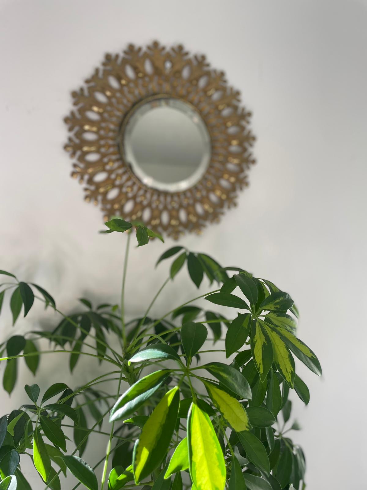 Gilt Vintage Mirror by Grace & Joy Furniture